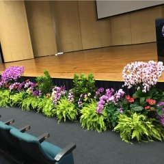 School Dunman-2019 Stage Decoration