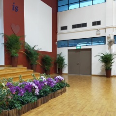 School Holy-Innocent-School-2021 Stage decoration