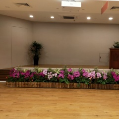 Mosq-2021-Apr Stage Decoration