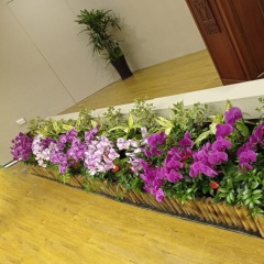 Mosq-2021B-Apr Stage Decoration