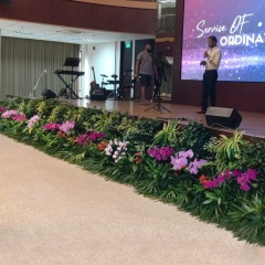 Rockz Stage landscaping 2022-Aug