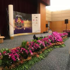 SPH-2019 Stage Decoration