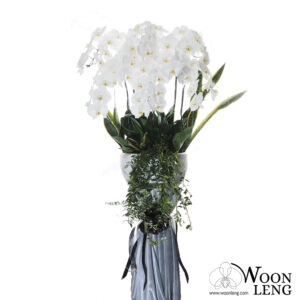 Phalaenopsis Wreath 2