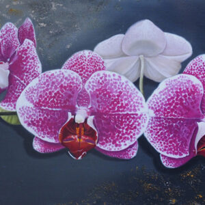 Oil Painting Phalaenopsis Leopard Prince