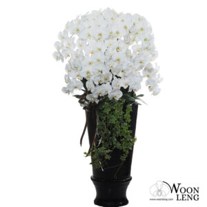 Phalaenopsis Wreath 3