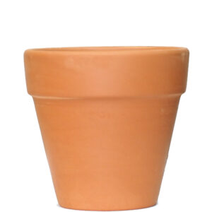 Pot Terracotta Assorted Sizes