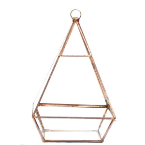 Terrarium Glass Vase B