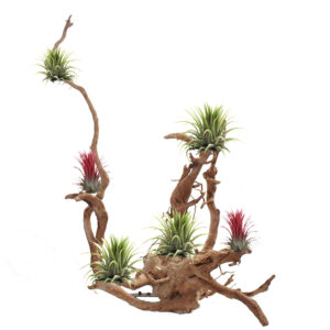 Decoration materials