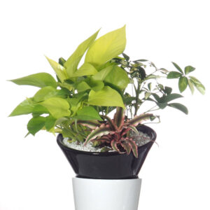 Mix Plant Arrangement