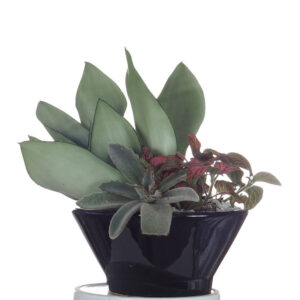 Mix Plant Arrangement Small