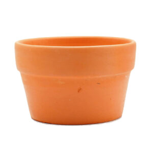 Pot Terracotta (Short)