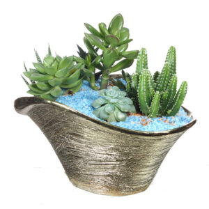 Assorted Succulent Arrangement in Gold Pot