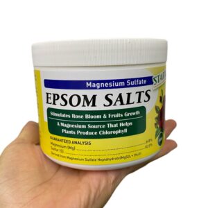 Epsom Salt (500g)
