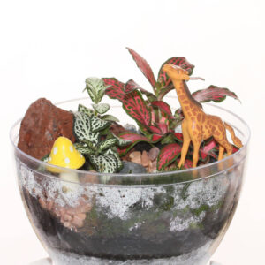 [Happy Easter] Terrarium Easter Egg DIY Kit