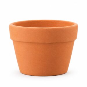 Pot Terracotta (Short)