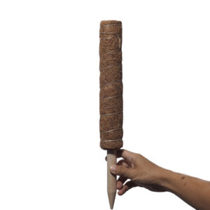 Coco Pole extendable