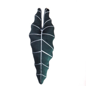 Anthurium warocqueanum Cushion, Pillow