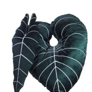 Cushion, Pillow, Anthurium warocqueanum & Anthurium Regale