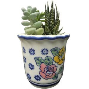 Succulent Arrangement in Blue Flower Pot