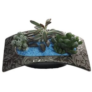 Succulent Arrangement Black Silver Frisbee (0.03m)