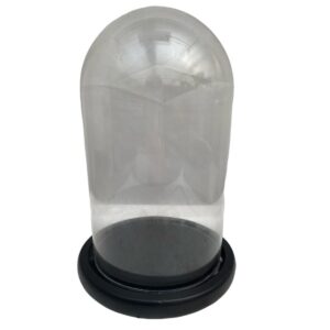 Terrarium Dome Shape Glass Vase (0.25m)