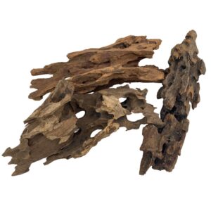 Coral Wood per kg