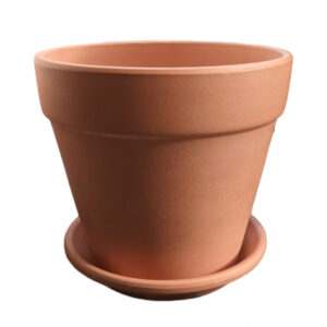 Pot Terracotta Assorted Sizes with Clay Plate