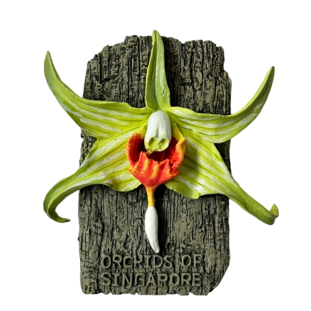 WALL OF ORCHIDS / LIFE MUST GO ON オリジナル版 Orchid of Singapore Magnet - Woon Leng Nursery