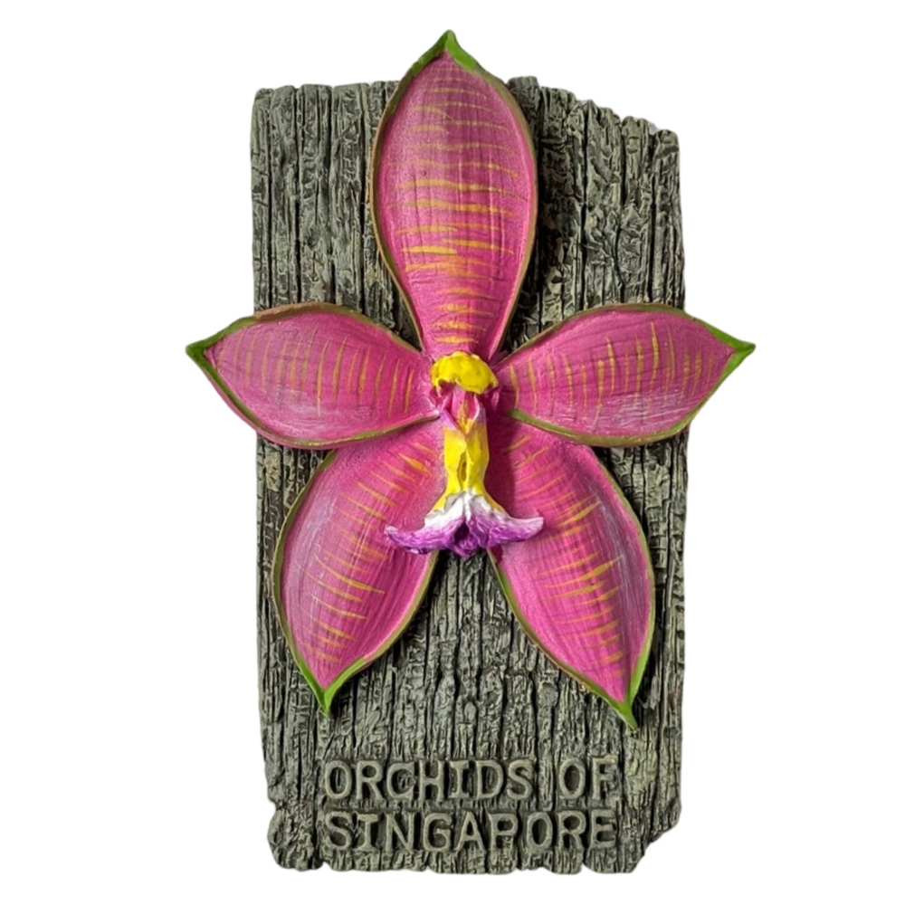 Orchid of Singapore Magnet - Woon Leng Nursery