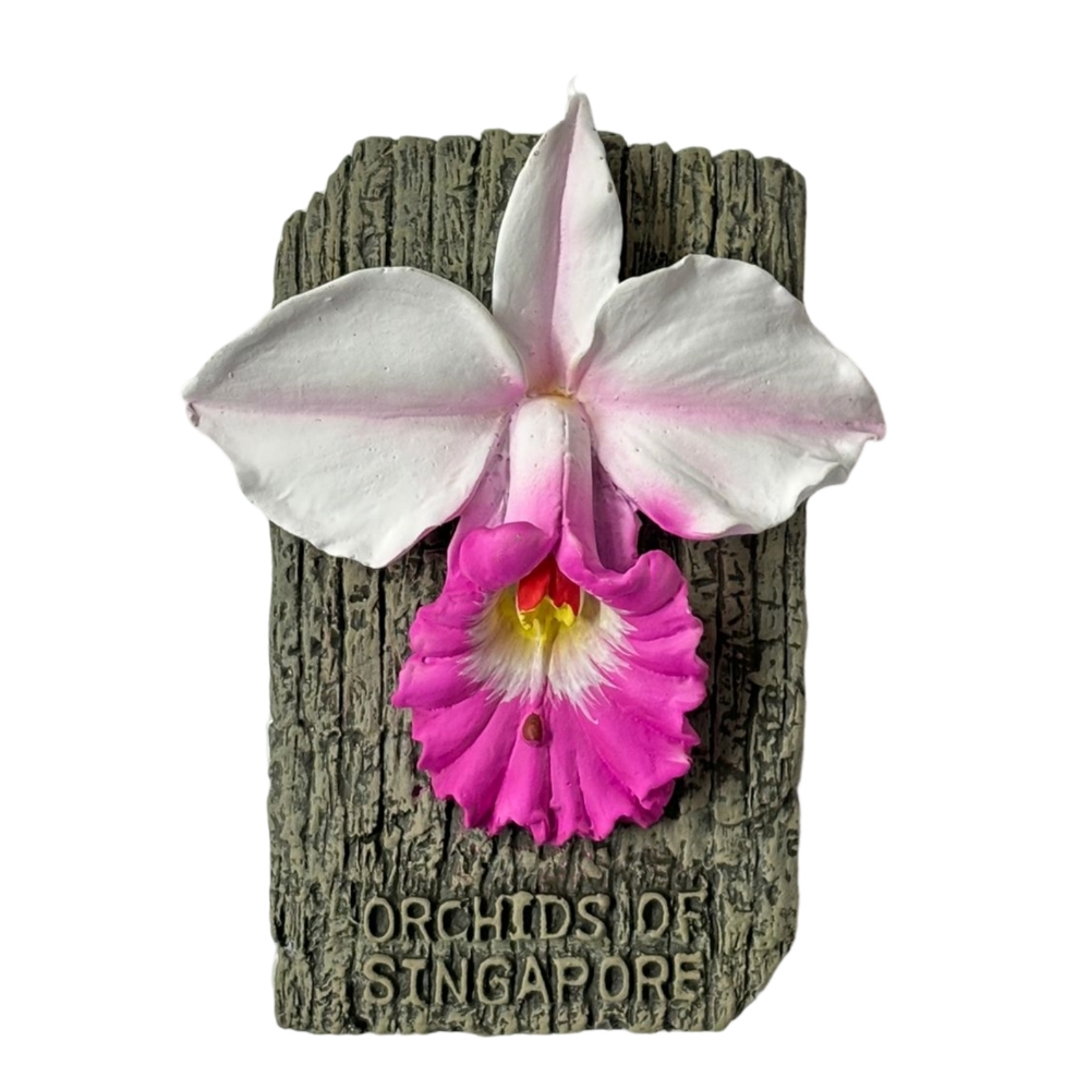 Orchid of Singapore Magnet - Woon Leng Nursery
