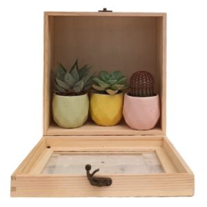 Succulents Assorted Color Gift Set