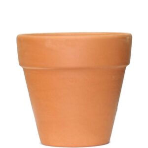 Terracotta pot