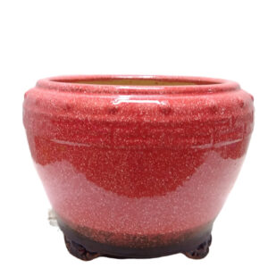 Pot Shiny Red with Dotted