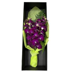 Elegant Cut Dendrobium Gift Set