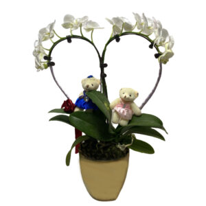 [Valentine's Gift] Phalaenopsis Heart Shaped Arrangement with bear
