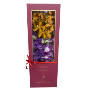Assorted Fresh Cut Dendrobium Deluxe Gift Set