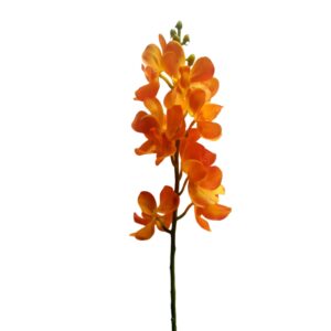 Artificial Mokara Orchid